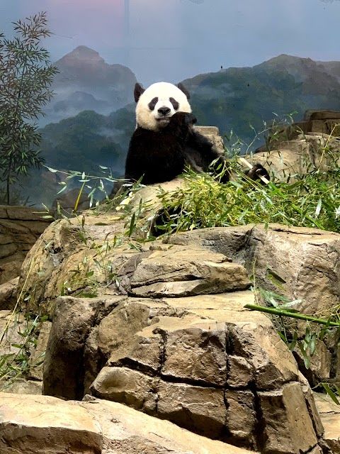 Parc zoologique national de Washington